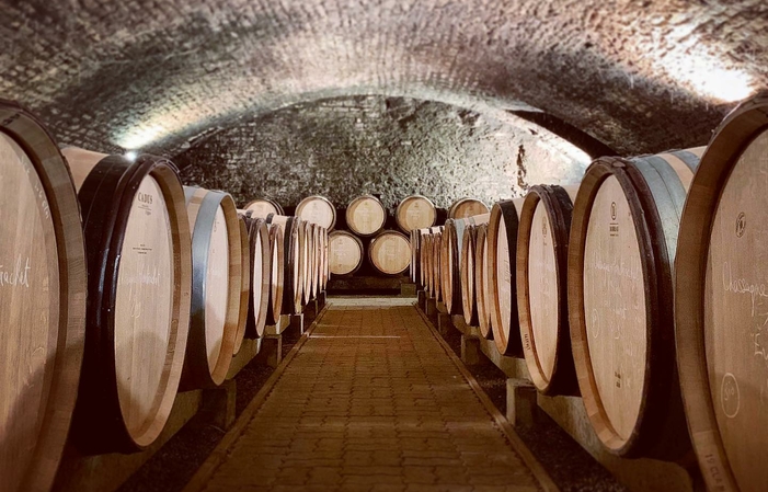 Sélection de Vins du Domaine Morey-Coffinet Gratuit