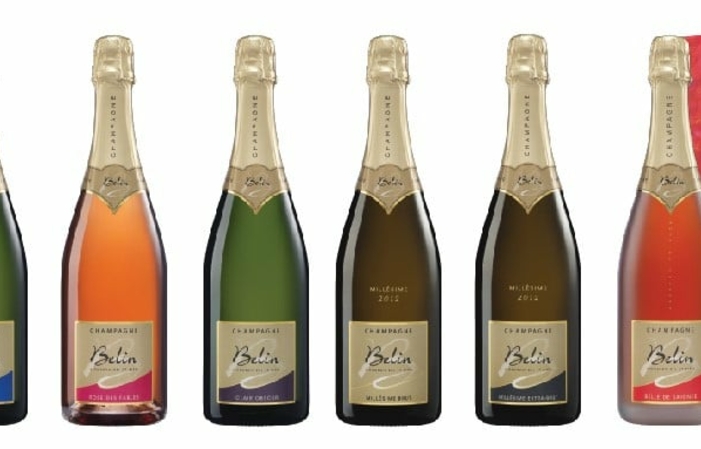 Vente Directe - Champagne Belin 22,00 €