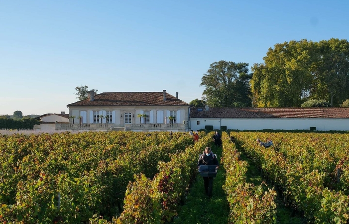 Sélection de Bordeaux : Vins de Château La Lagune Gratuit