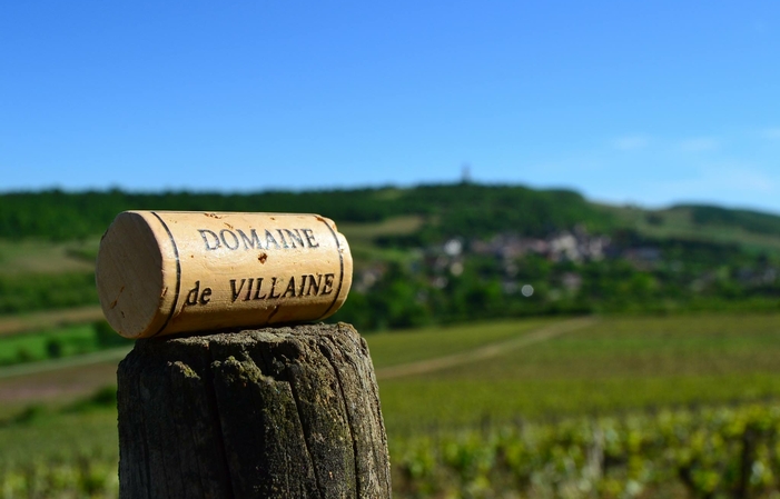 Sélection de Bourgogne : Domaine De Villaine Gratuit