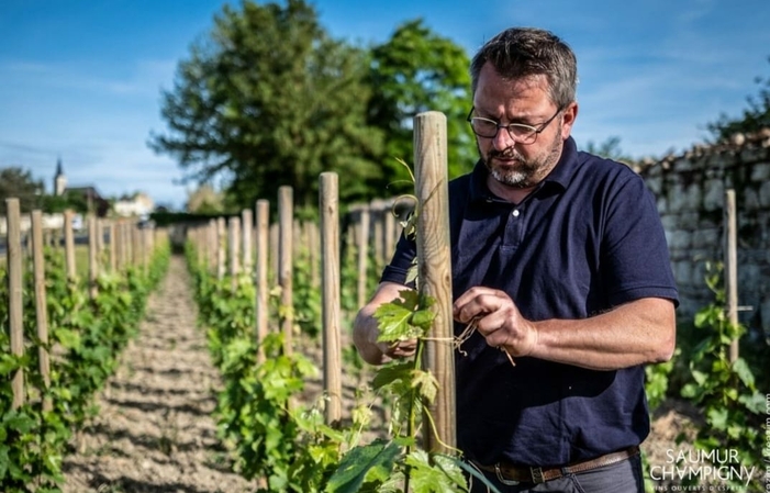 Sélection de la Loire : Domaine Antoine Sanzay Gratuit