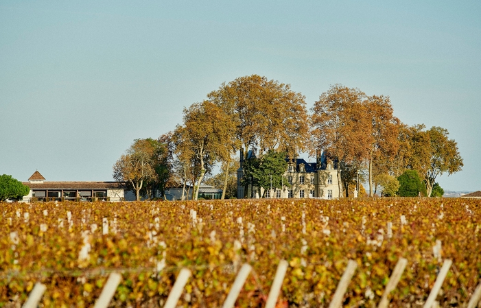 Sélection de Bordeaux : Château Pichon Longueville Comtesse de Lalande Vins Gratuit