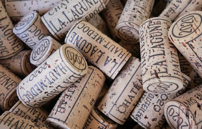 Sélection de Bordeaux : Vins de Château La Lagune Gratuit
