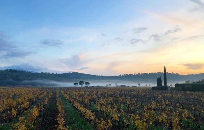 Sélection de Provence : Château Gasqui Gratuit