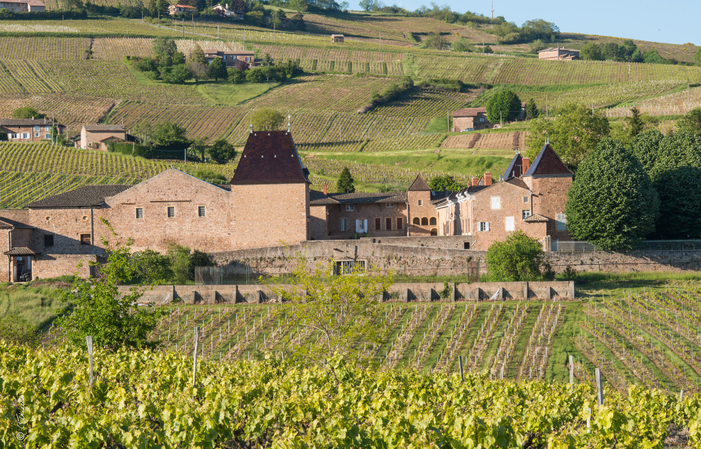 Dégustation au Château de Juliénas Gratuit