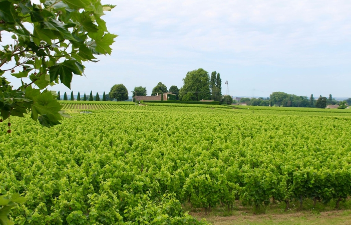 Sélection de Bordeaux : Château Gombaude-Guillot Pomerol Vins Gratuit