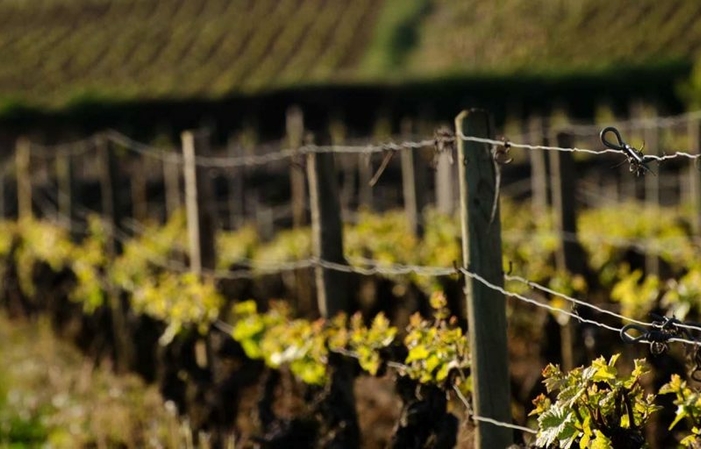 Sélection de Vins du Domaine Hubert-Lignier Gratuit