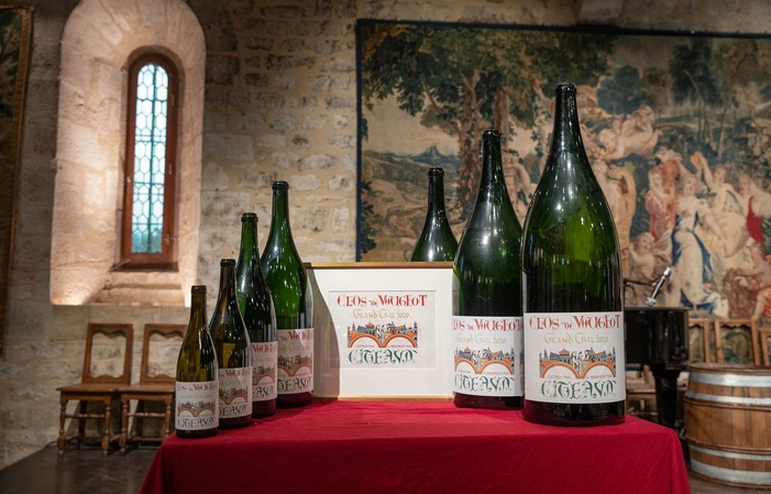 Sélection de Bourgogne : Vins du Château du Clos de Vougeot Gratuit