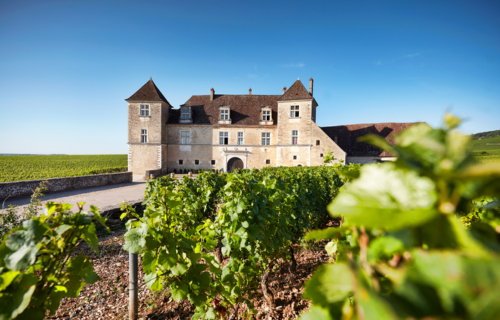 Sélection de Bourgogne : Vins du Château du Clos de Vougeot Gratuit