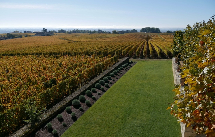 Sélection de Bordeaux : Château Troplong Mondot Gratuit