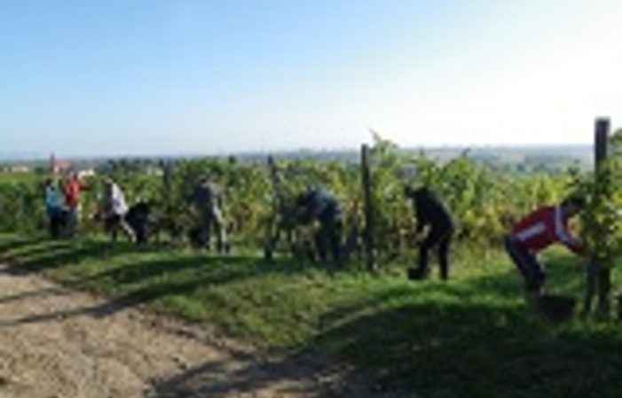 Visite du domaine et dégustation commentée 15,00 €
