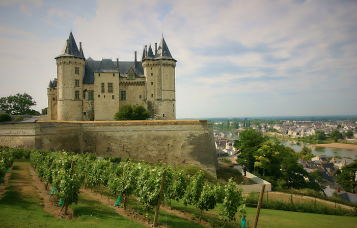 Fontevraud l'Abbaye avec dégustation de vin et déj 189,34 €
