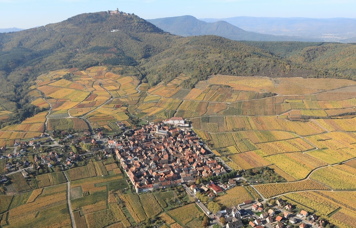 Expérience gourmande et visite de cave 20,00 €