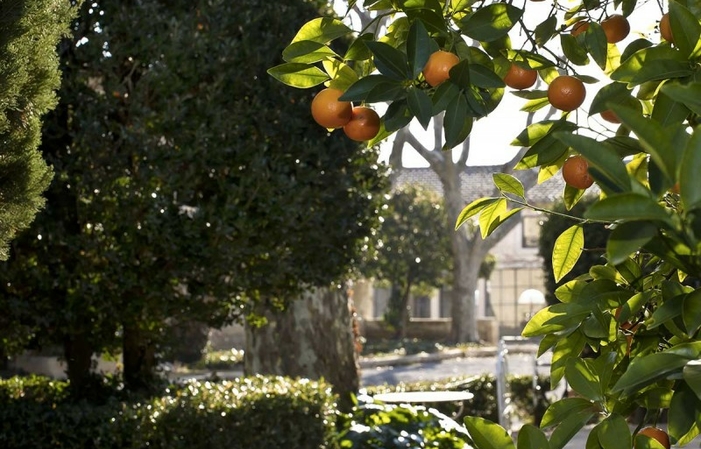 Repas en plein coeur du domaine 35,00 €