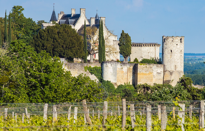 Visite Du Domaine Des Béguineries 1,00 €