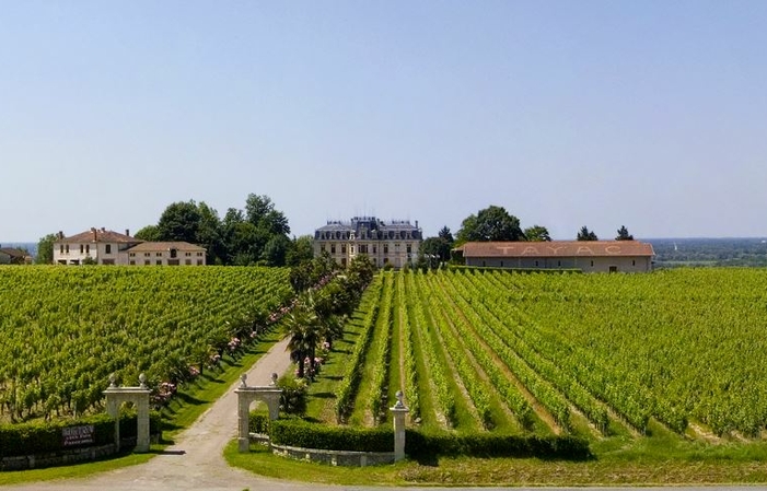 Visite et Dégustation au Château Tayac 1,00 €