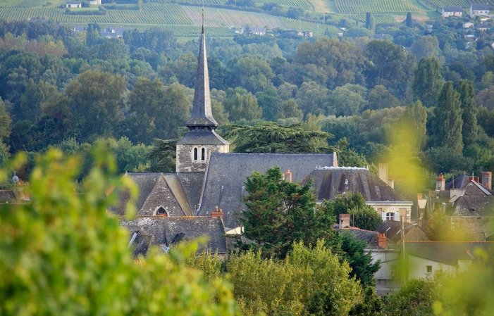 Visite Domaine du Closel : Escapade au Château des Vaults 29,00 €