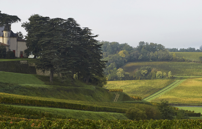 Visite et dégustation Chateau de Pressac, Saint Emilion Grand Cru Classé 18,00 €