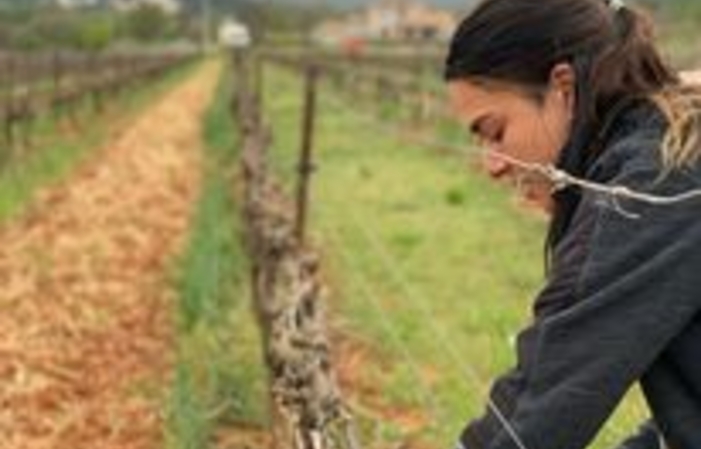Visite et dégustations au Domaine Terre de Mistral 13,00 €