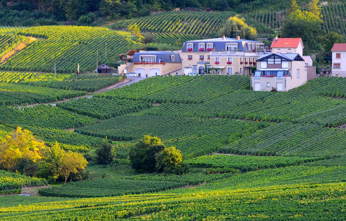 Visite Iconique du Domaine Champagne Voirin-Jumel 25,00 €