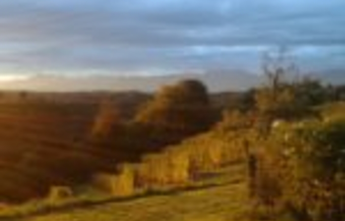 Visite et dégustations du Domaine Cmin Larredya 1,00 €