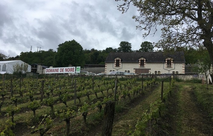 En Chemin de Noiré à la Forteresse Royale à Chinon 1,00 €