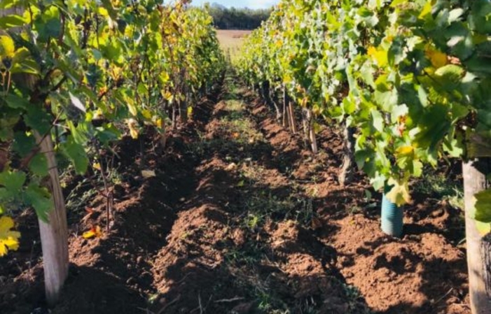 Visite et Dégustation au Domaine de l'Aubraine 1,00 €