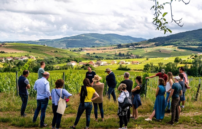 Visite et dégustations du  Domaine Frédéric Berne 15,00 €
