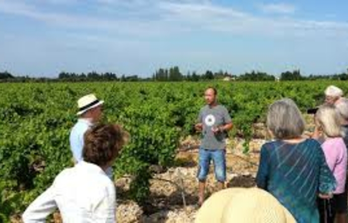 Visite et dégustation Domaine Martin 1,00 €