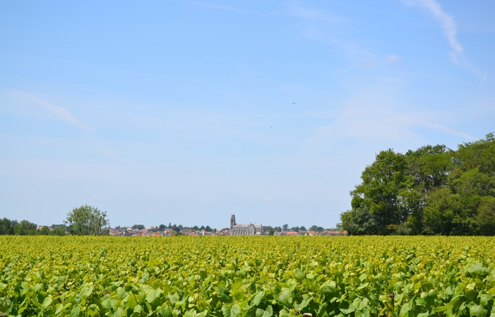 Visite Privilège au Château du Cléray 25,00 €