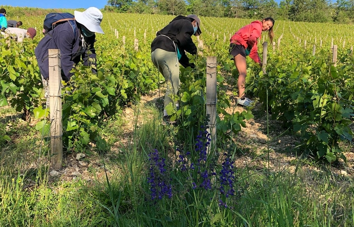 Visite Du Domaine Champagne Emmanuel Tassin 1,00 €