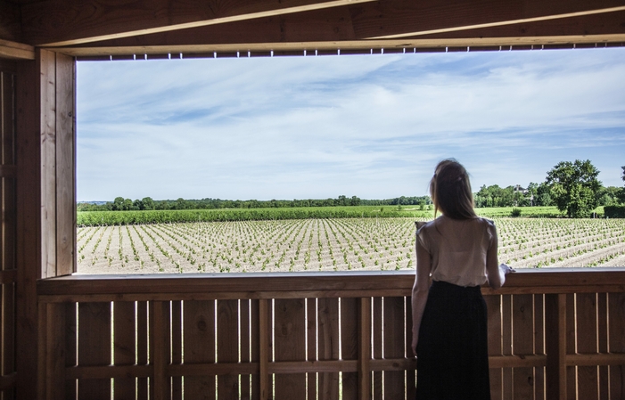 Visite et Dégustation au Château Lamothe-Bergeron 6,00 €