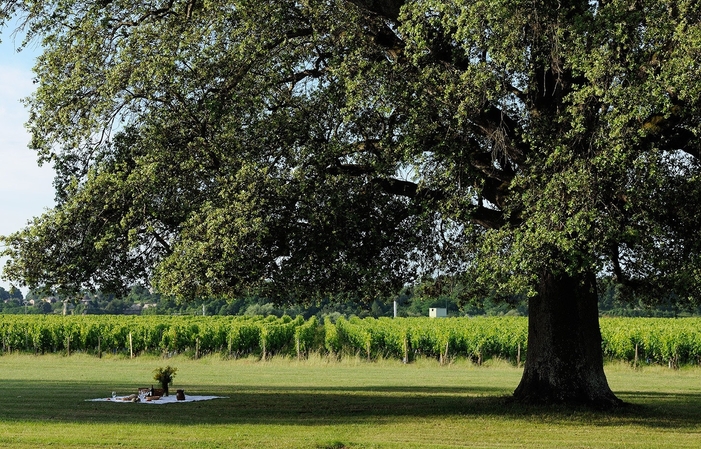 Visite et Dégustation au Château de Barbe 1,00 €