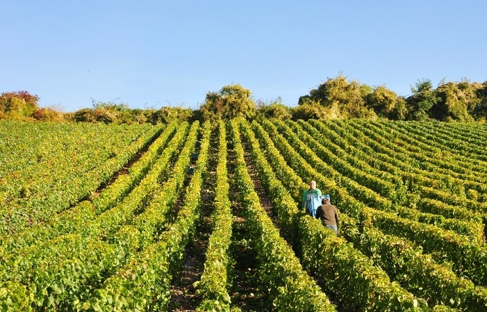 Visite et Déjeuner au Domaine Champagne Paul Leredde 27,00 €