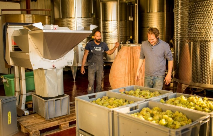 Visite et dégustation au Domaine des Marronniers à Chablis 1,00 €