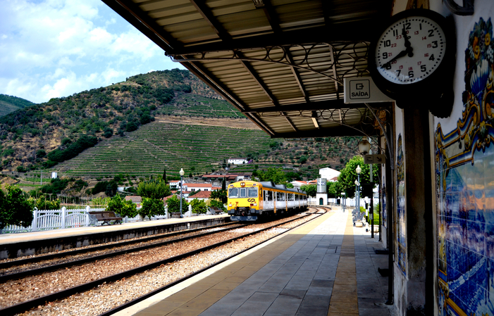 Winetour: Journée dans le Douro: 2 vignobles 100,00 €