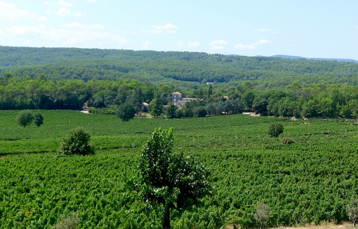 Chateau Roubine: visite de la cave et dégustation des vins du domaine 12,00 €