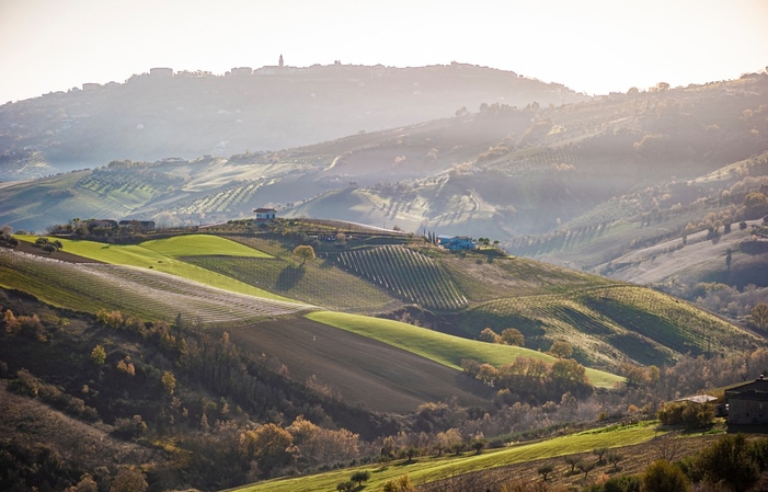 Visite et dégustaions au Francesco Cirelli Wines 1,00 €