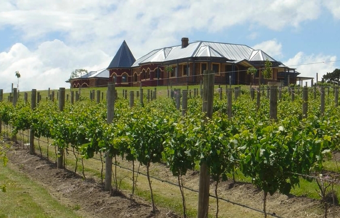 Visite d'Angelo Estate Vineyards 12,00 €