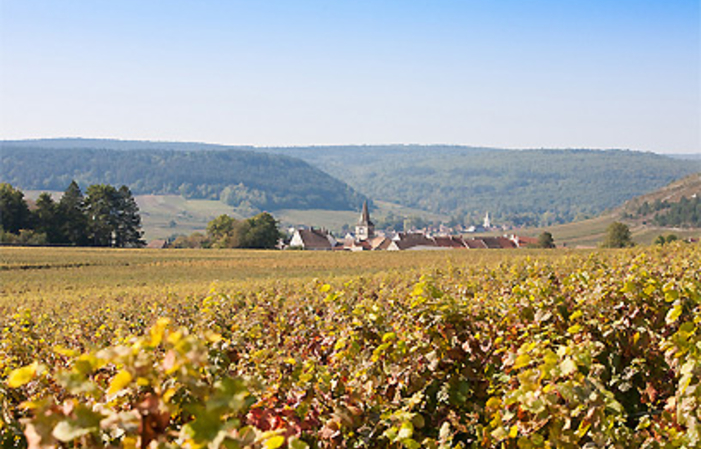 Visite et Dégustation au Domaine Jean-Philippe Fichet 1,00 €