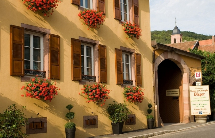 Visite et Dégustation au Domaine Bléger 1,00 €