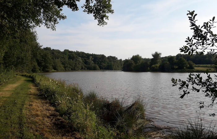 Visite et Dégustation au Château Garreau 4,50 €