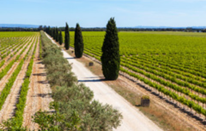 Visite Du Domaines Hugues Meffre 1,00 €