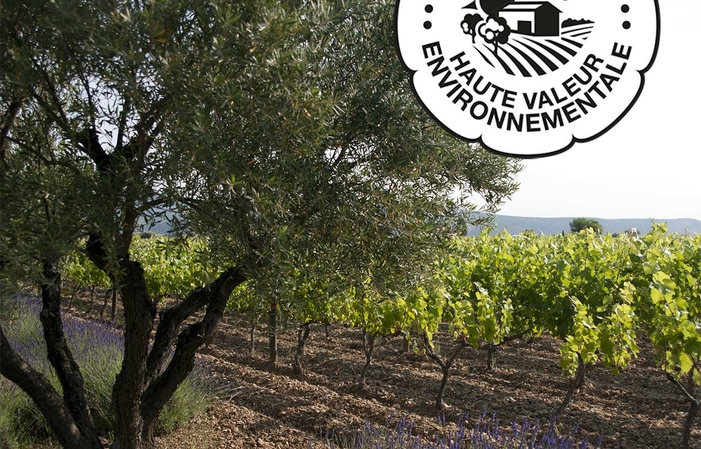Visite et dégustations du clos du lucquier 1,00 €