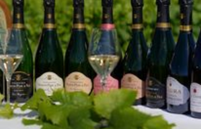 Visite et dégustations du Champagne Vignon Père & Fils 'Les Marquises' 1,00 €