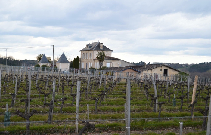 Visite et Dégustation au Château de Viens 1,00 €