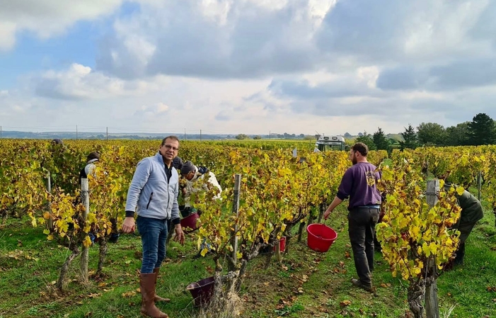 Visite Du Domaine Sauveroy - Vins de Loire 10,00 €