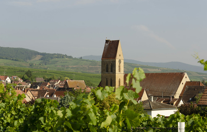 Visite avec dégustation de 5 vins + Kugelhopf 7,80 €