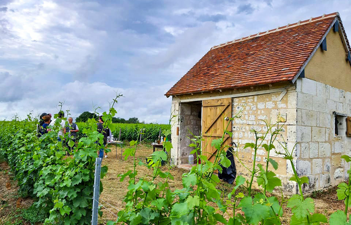 Visite et dégustations au Domaine du Grand Moulin 1,00 €