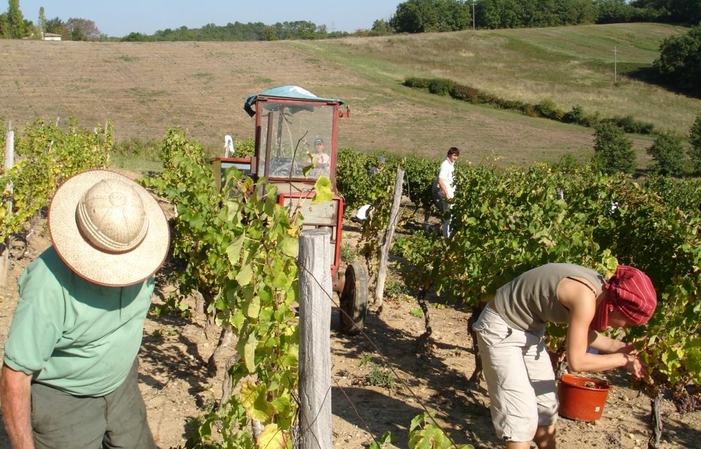 Visite et Dégustation au Domaine Sarrabelle 1,00 €